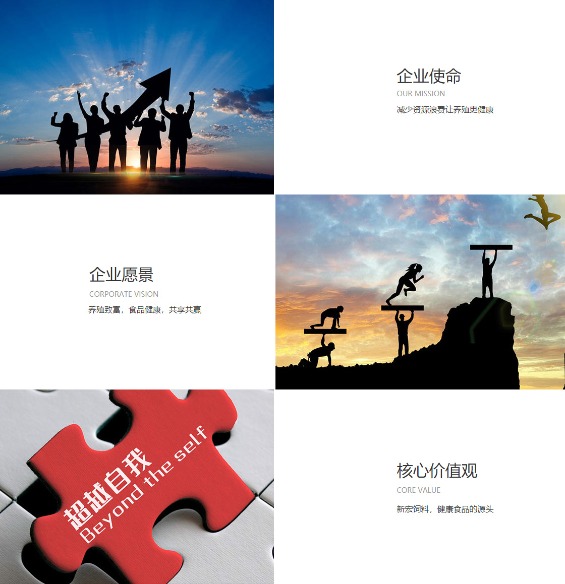 jrs回放录像nba(图1)